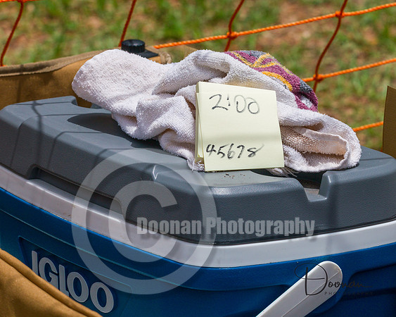 _R153291