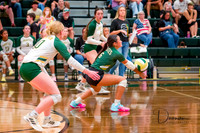 Volleyball