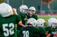 7A