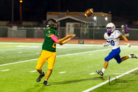 JV