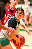 Girls Basketball vs Robstown