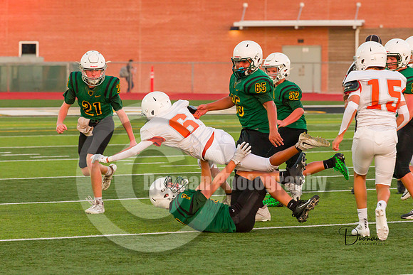 _R331620