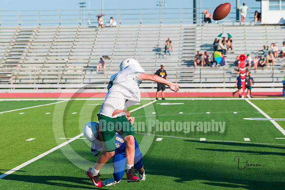 _R335901