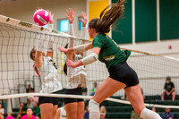 Volleyball
