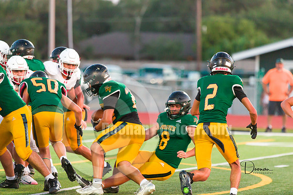 _R337436