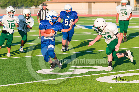 _R336028