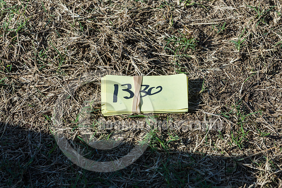 _LD59849