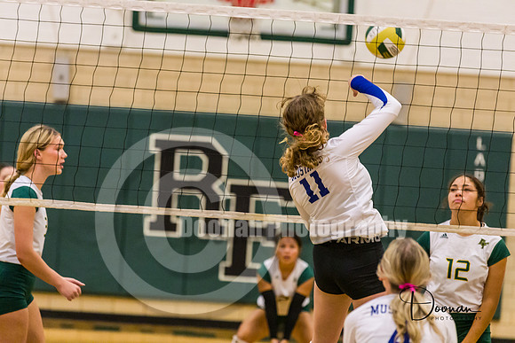 _LD36721