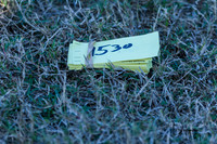 _LD51083