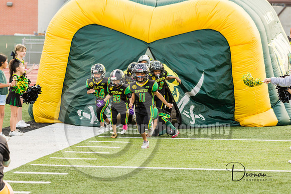 _LD38174
