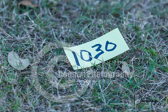 _LD58448