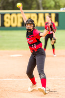_L381101