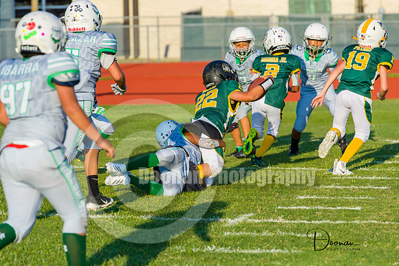 _L301368
