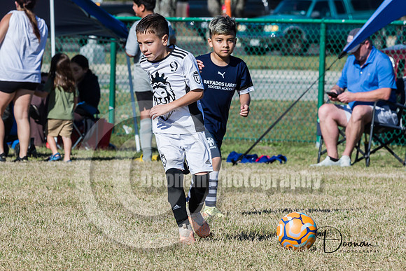 _LD50575