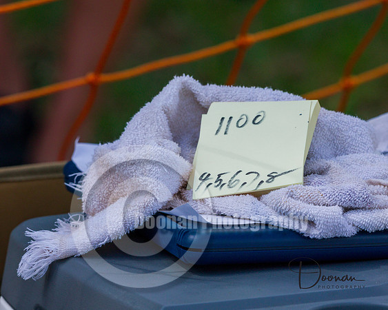 _R152390