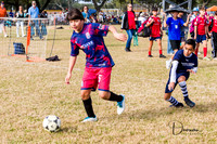 _6J13988