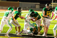 JV