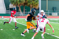 JV