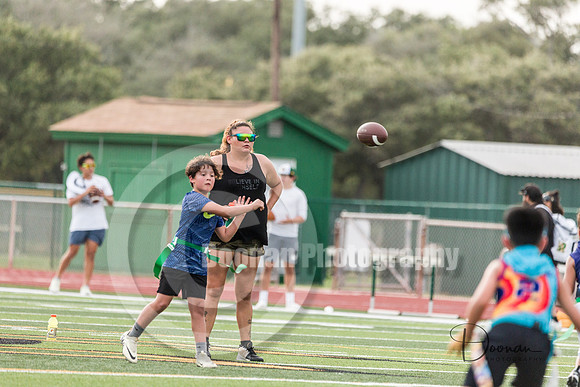 _D007217